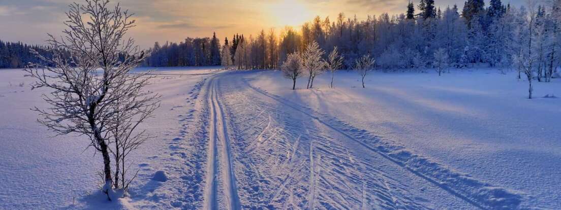 maksimum kartoffel Ondartet tumor Border to Border Ski: Arctic Adventure in Finland